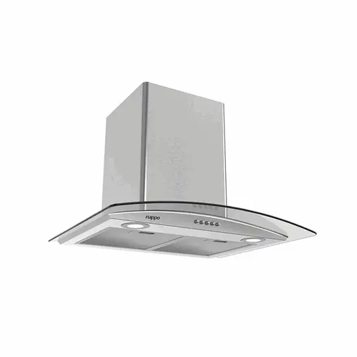 CAMPANA EXTRACTORA CURVA 60 CM NAPPO NEE-367