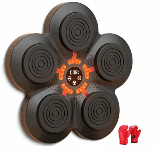 MAQUINA DE BOXEO PARA PARED ADULTOS (REG)
