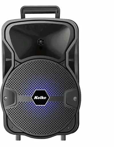 PARLANTE INALAMBRICO BLUES 8" KPB-421 (REG)